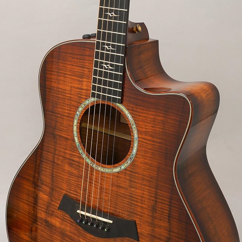 TAYLOR USED 中古 GOce-Koa AA '14 テイラー 画像6