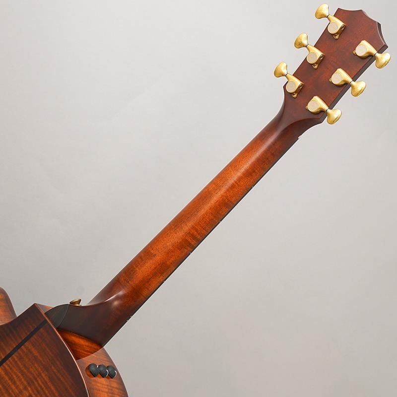 TAYLOR USED 中古 GOce-Koa AA '14 テイラー 画像9