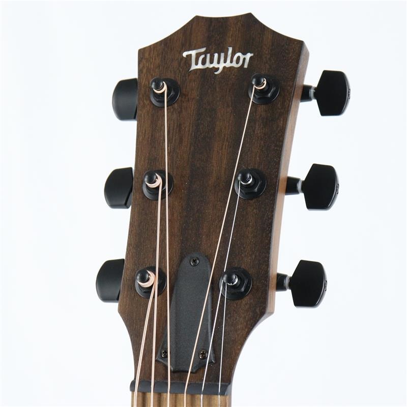 TAYLOR 【特価】【創業50周年大決算SALE】 AD12e-SB テイラー 画像4