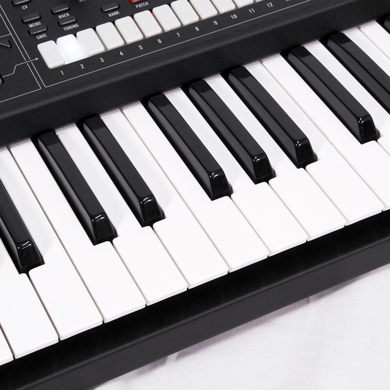 【myungsoo】ページ　　リクエスト商品のため ネオプレーンハーネス ベージュ - lamzy