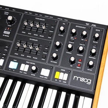 moog USED 中古 Muse (ミューズ) 8ボイス・アナログ・バイティンバー