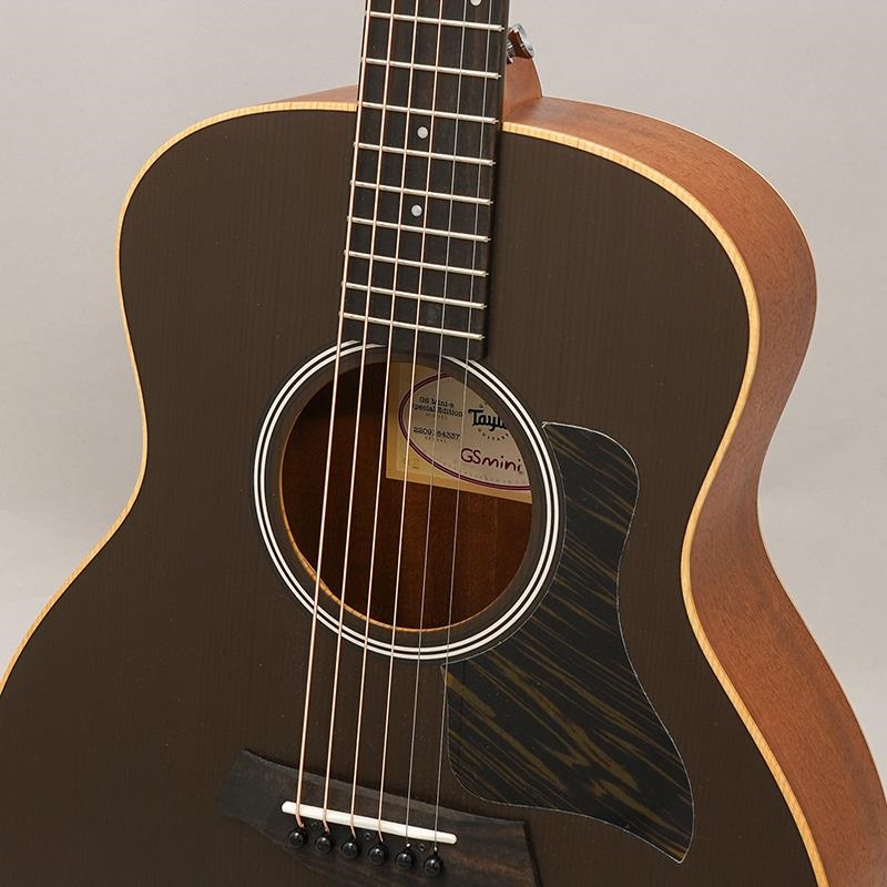 TAYLOR 【チョイキズ特価】【創業50周年大決算SALE】 GS Mini-e Special Edition Translucent Black テイラー 画像6