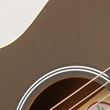 TAYLOR 【チョイキズ特価】【創業50周年大決算SALE】 GS Mini-e Special Edition Translucent Black テイラー 画像10
