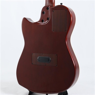 Godin 【特価】【創業50周年大決算SALE】 Multiac Nylon String Natural HG ゴダン 画像2