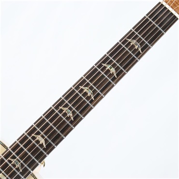 Bromo Guitars DANALI SERIES BAN7E ブロモ 画像4
