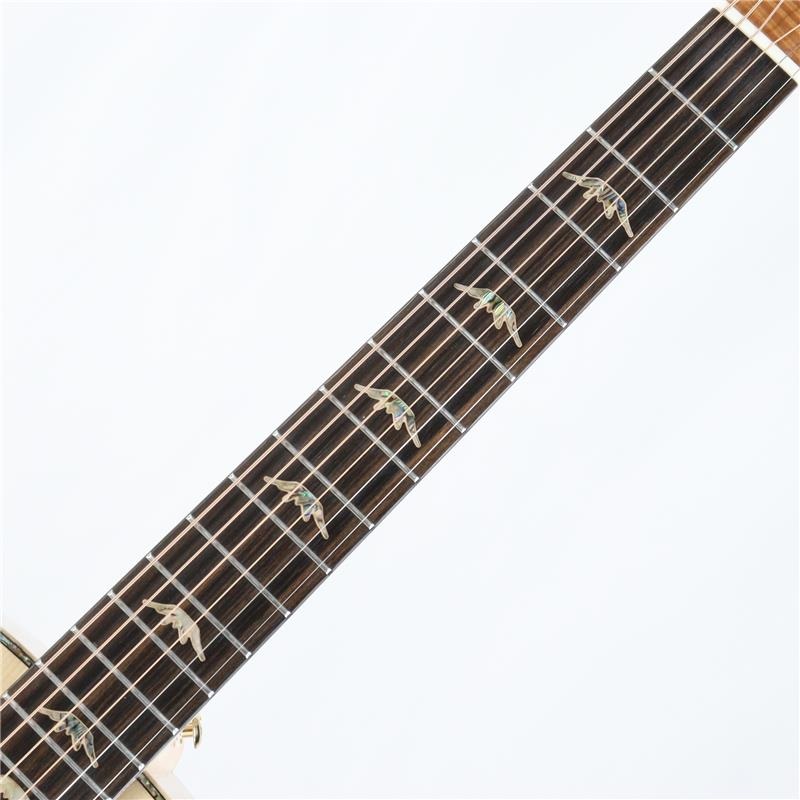 Bromo Guitars DANALI SERIES BAN7E ブロモ 画像4
