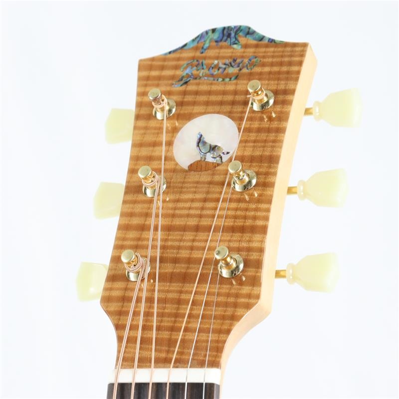 Bromo Guitars DANALI SERIES BAN7E ブロモ 画像5