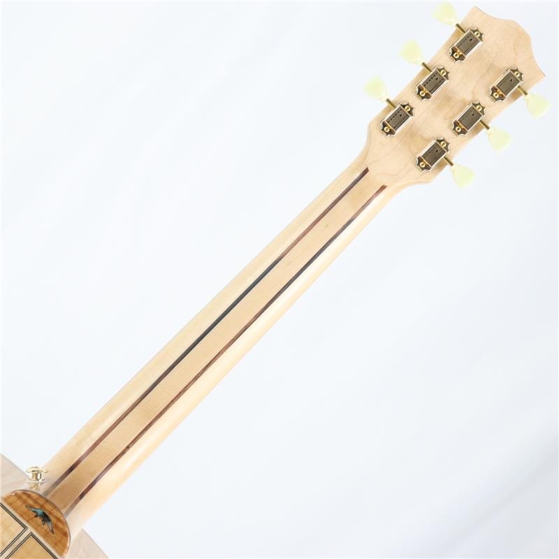 Bromo Guitars DANALI SERIES BAN7E ブロモ 画像6