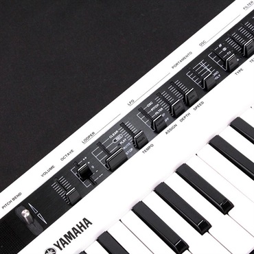 Amazon.com: Yamaha REFACE CS Portable Analog Modeling