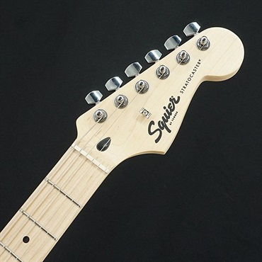 FENDER ST mod／バーズアイ おまけ有