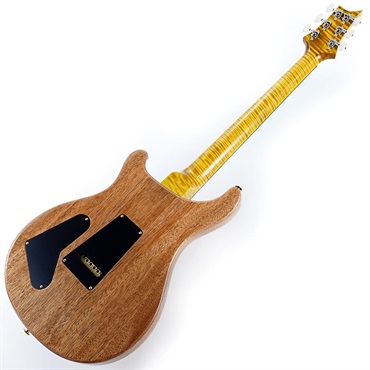 P.R.S. Ikebe 50th Anniversary Wood Library Special Semi-Hollow (Honey Gold) SN.0402025 画像2