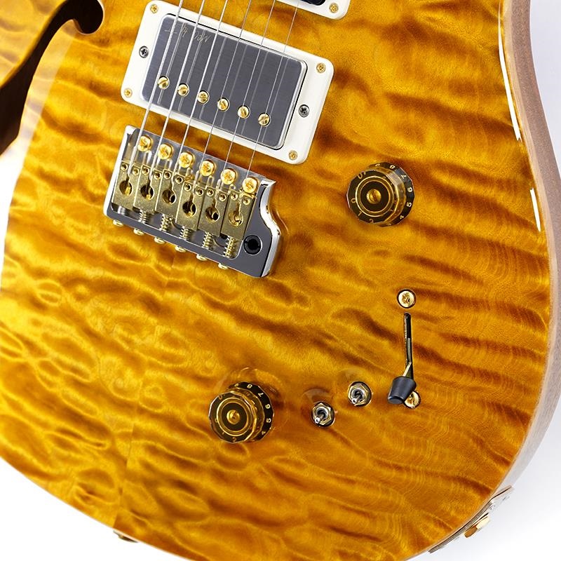 P.R.S. Ikebe 50th Anniversary Wood Library Special Semi-Hollow (Honey Gold) SN.0402025 画像4