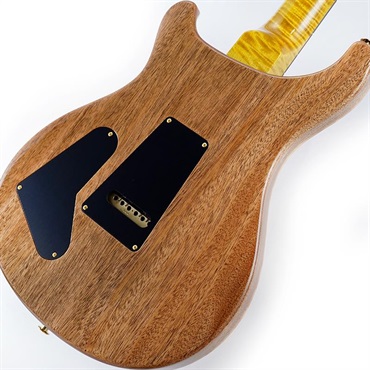 P.R.S. Ikebe 50th Anniversary Wood Library Special Semi-Hollow (Honey Gold) SN.0402025 画像7