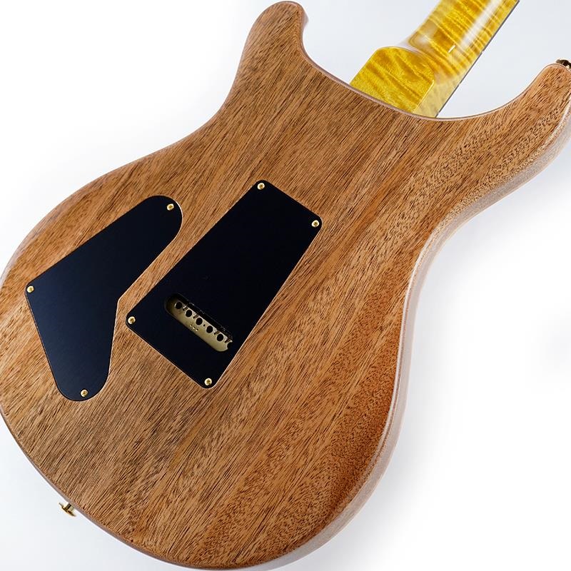 P.R.S. Ikebe 50th Anniversary Wood Library Special Semi-Hollow (Honey Gold) SN.0402025 画像7