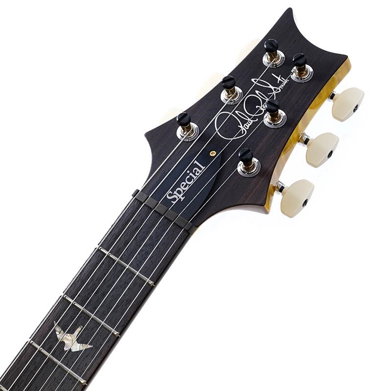 P.R.S. Ikebe 50th Anniversary Wood Library Special Semi-Hollow (Honey Gold) SN.0402025 画像8