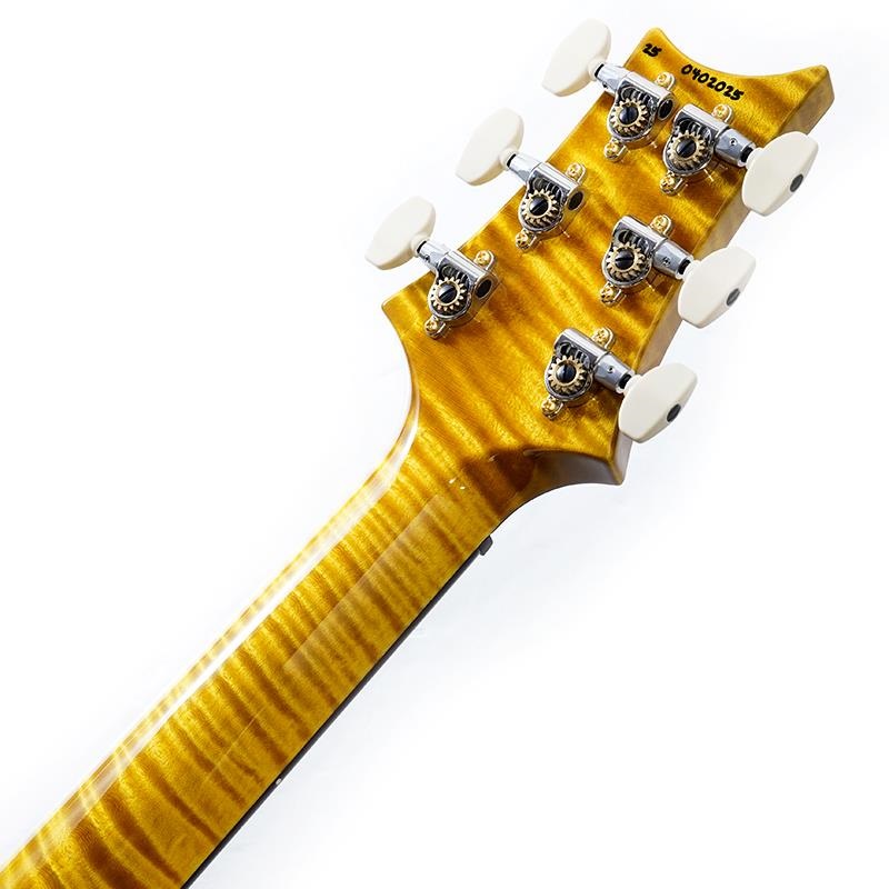 P.R.S. Ikebe 50th Anniversary Wood Library Special Semi-Hollow (Honey Gold) SN.0402025 画像9