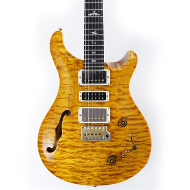 P.R.S. Ikebe 50th Anniversary Wood Library Special Semi-Hollow (Honey Gold) SN.0402025 画像10