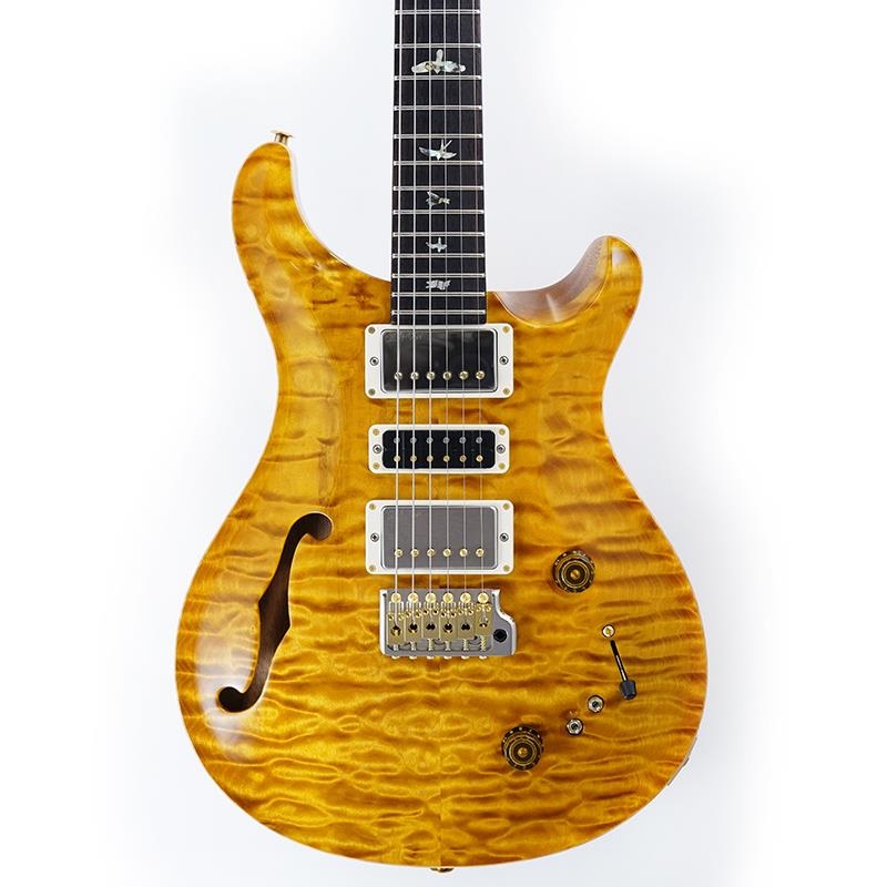P.R.S. Ikebe 50th Anniversary Wood Library Special Semi-Hollow (Honey Gold) SN.0402025 画像10