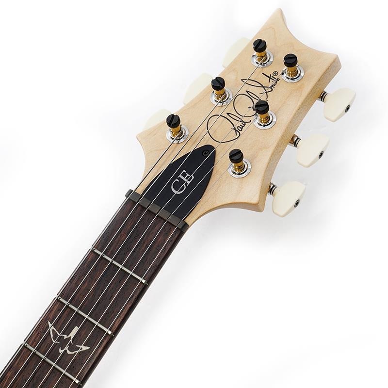 P.R.S. CE 22 Limited Edition (Faded Gray Black) SN.0405464 画像8