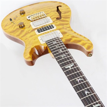 P.R.S. Ikebe 50th Anniversary Wood Library Special Semi-Hollow (Honey Gold) [SN.0402024] 画像4