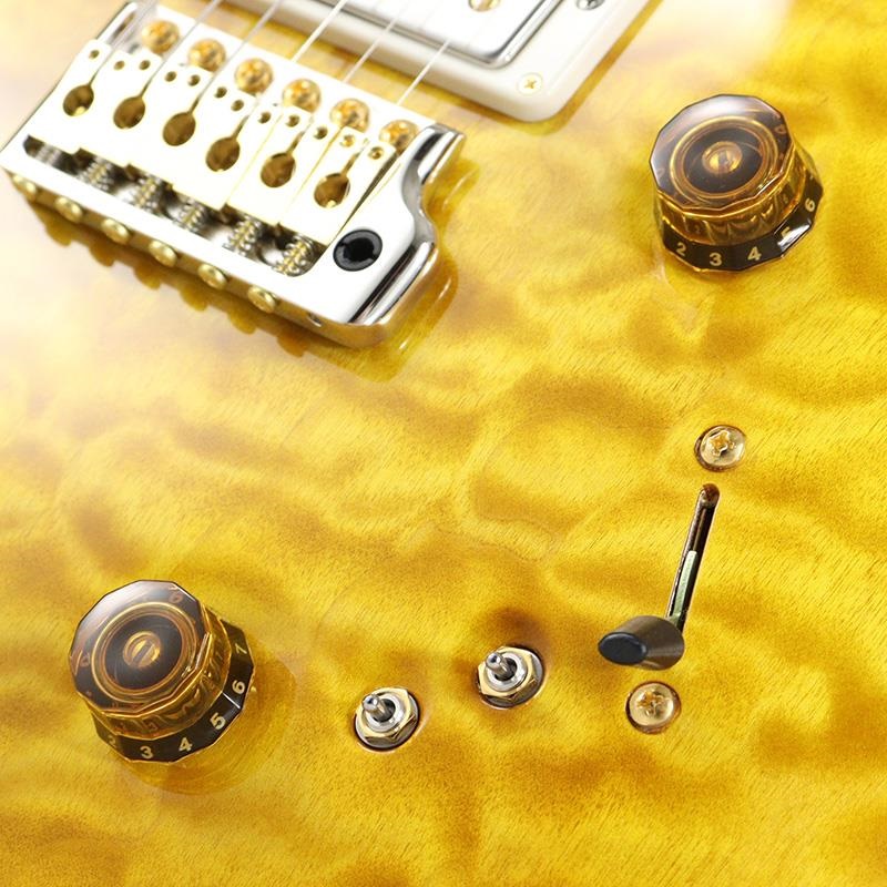 P.R.S. Ikebe 50th Anniversary Wood Library Special Semi-Hollow (Honey Gold) [SN.0402024] 画像6