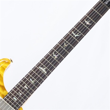 P.R.S. Ikebe 50th Anniversary Wood Library Special Semi-Hollow (Honey Gold) [SN.0402024] 画像7