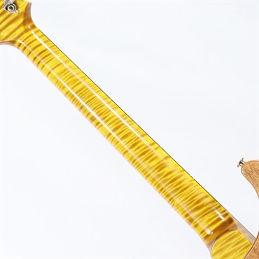 P.R.S. Ikebe 50th Anniversary Wood Library Special Semi-Hollow (Honey Gold) [SN.0402024] 画像8