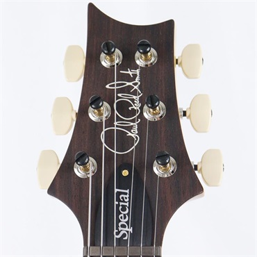 P.R.S. Ikebe 50th Anniversary Wood Library Special Semi-Hollow (Honey Gold) [SN.0402024] 画像9