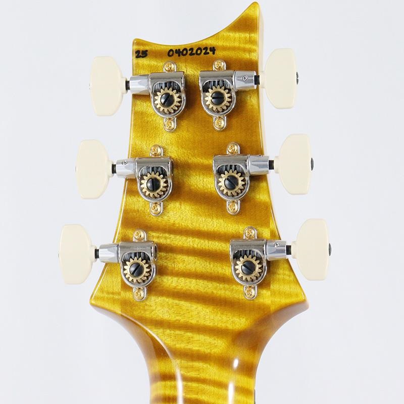 P.R.S. Ikebe 50th Anniversary Wood Library Special Semi-Hollow (Honey Gold) [SN.0402024] 画像10