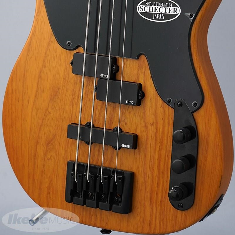 SCHECTER MODEL-T SESSION [AD-MT-SS] (ANS) 【特価】 画像3