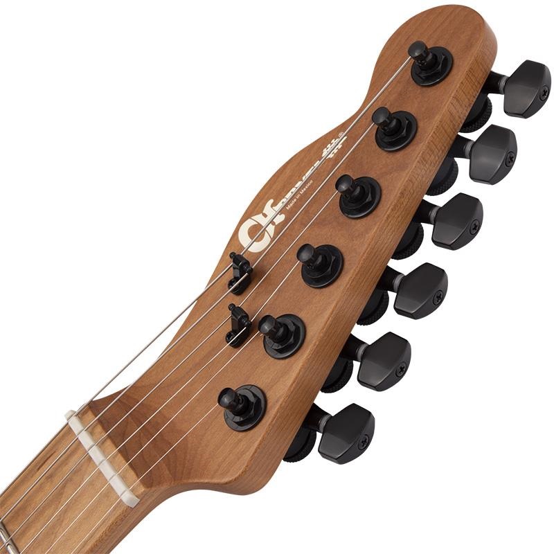 Charvel Pro-Mod So-Cal Style 2 24 HH 2PT CM Ash (Black Ash/Caramelized Maple) 画像4