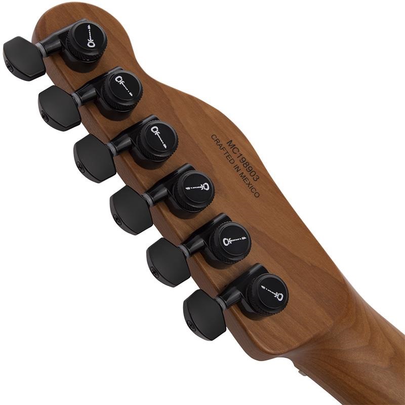 Charvel Pro-Mod So-Cal Style 2 24 HH 2PT CM Ash (Black Ash/Caramelized Maple) 画像5