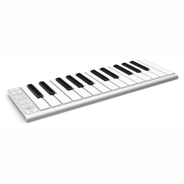 ESI Xkey 25 (MIDIコントローラー)(イーエスアイ)(25鍵盤) 画像1