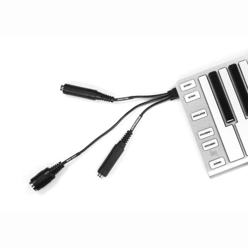 ESI Xkey 37 (MIDIコントローラー)(イーエスアイ)(37鍵盤) 画像6