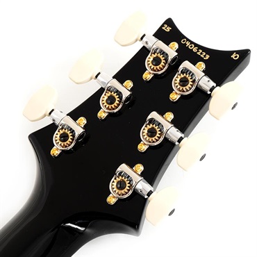 P.R.S. Modern Eagle V 10 Top (Purple Mist) SN.0406223 画像9