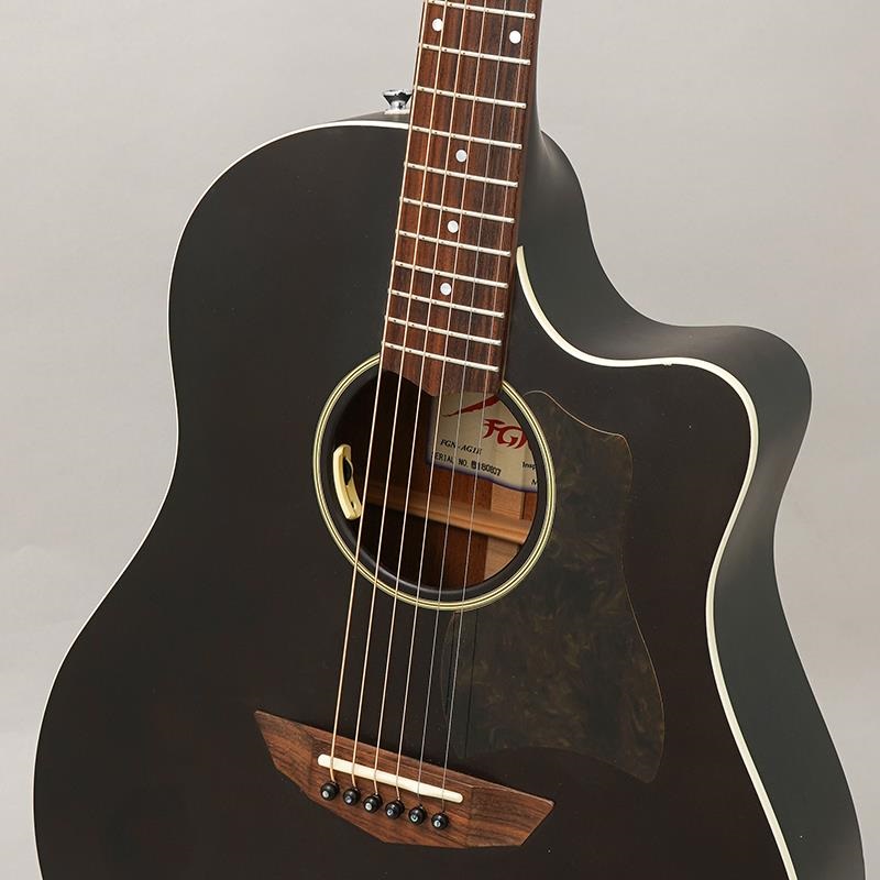 FUJIGEN USED 中古 AG1E-TBF フジゲン 画像6