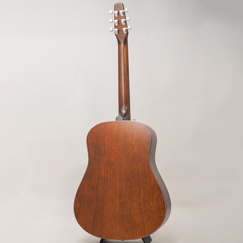 Seagull USED 中古 S6 Ceder Original Slim シーガル 画像3