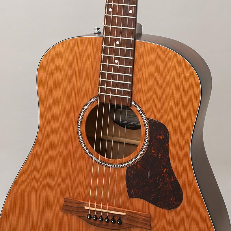 Seagull USED 中古 S6 Ceder Original Slim シーガル 画像6