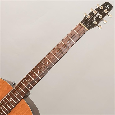 Seagull USED 中古 S6 Ceder Original Slim シーガル 画像7