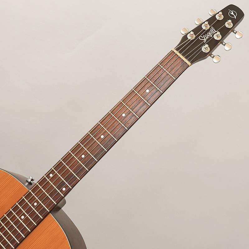 Seagull USED 中古 S6 Ceder Original Slim シーガル 画像7
