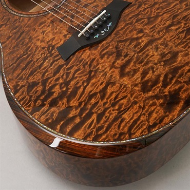 TAYLOR Custom GAce Hand Select All Quilt Maple (Transparent Dark Brown) 【イケベ楽器店創業50周年記念限定モデル】 テイラー 画像7