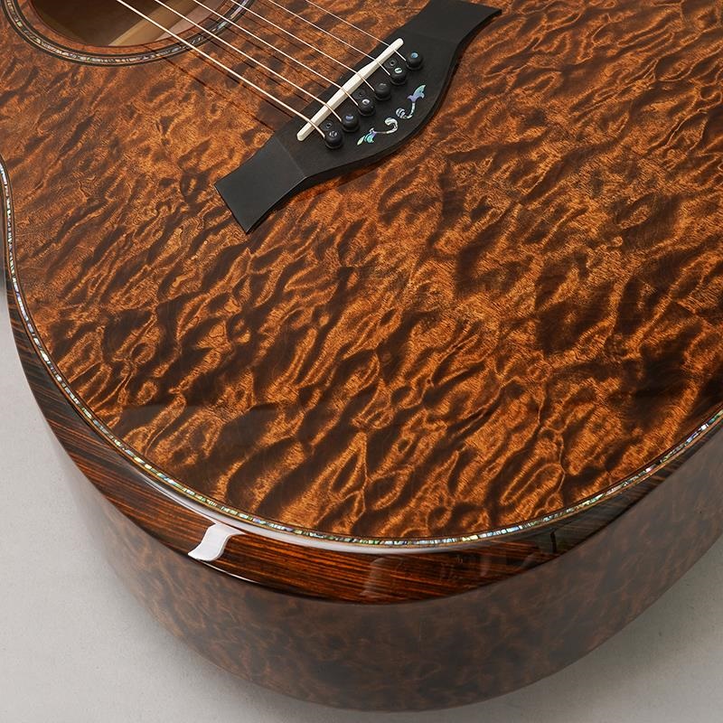 TAYLOR Custom GAce Hand Select All Quilt Maple (Transparent Dark Brown) 【イケベ楽器店創業50周年記念限定モデル】 テイラー 画像7