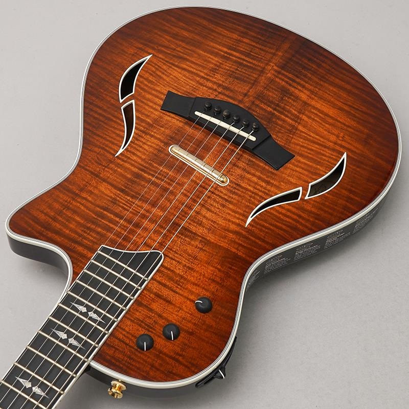 TAYLOR USED 中古 T5z Custom Koa テイラー 画像4