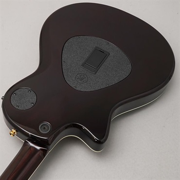TAYLOR USED 中古 T5z Custom Koa テイラー 画像5
