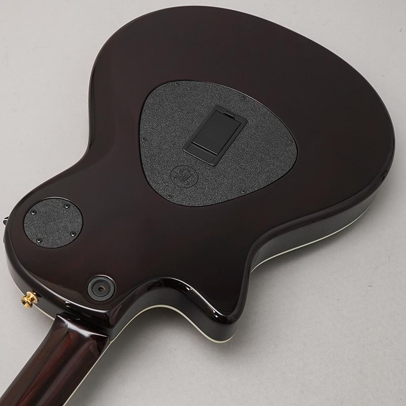 TAYLOR USED 中古 T5z Custom Koa テイラー 画像5