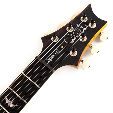 P.R.S. Ikebe 50th Anniversary Wood Library Special Semi-Hollow (Honey Gold) SN.0401646 画像6
