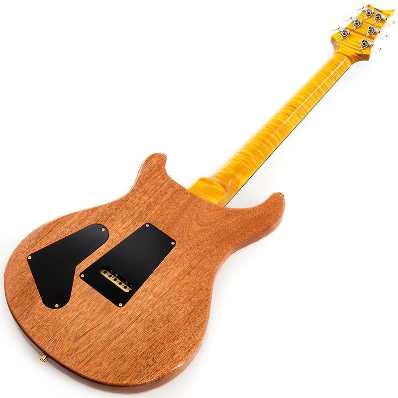 P.R.S. Ikebe 50th Anniversary Wood Library Special Semi-Hollow (Honey Gold) SN.0401654 画像2