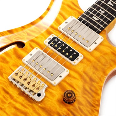 P.R.S. Ikebe 50th Anniversary Wood Library Special Semi-Hollow (Honey Gold) SN.0401654 画像3