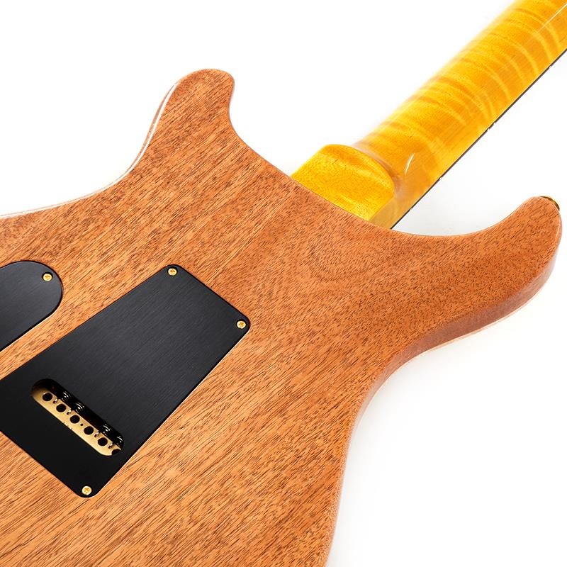 P.R.S. Ikebe 50th Anniversary Wood Library Special Semi-Hollow (Honey Gold) SN.0401654 画像5