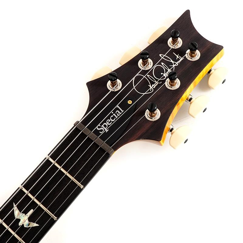 P.R.S. Ikebe 50th Anniversary Wood Library Special Semi-Hollow (Honey Gold) SN.0401654 画像6